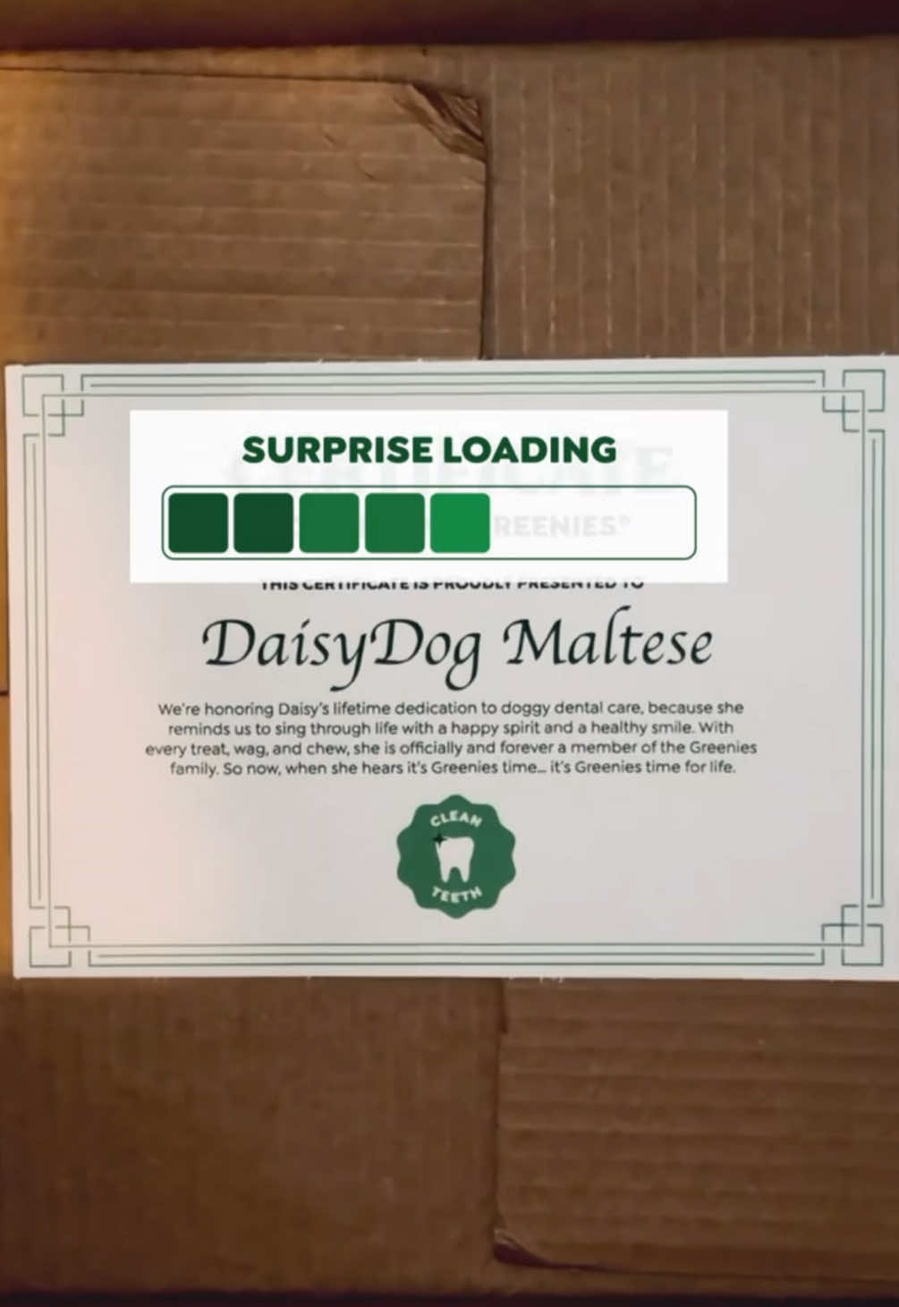 We can’t wait to share a very special surprise for a very special pup…🤫🎀💚 #GREENIES 