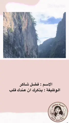 #الحياة_محتوى 