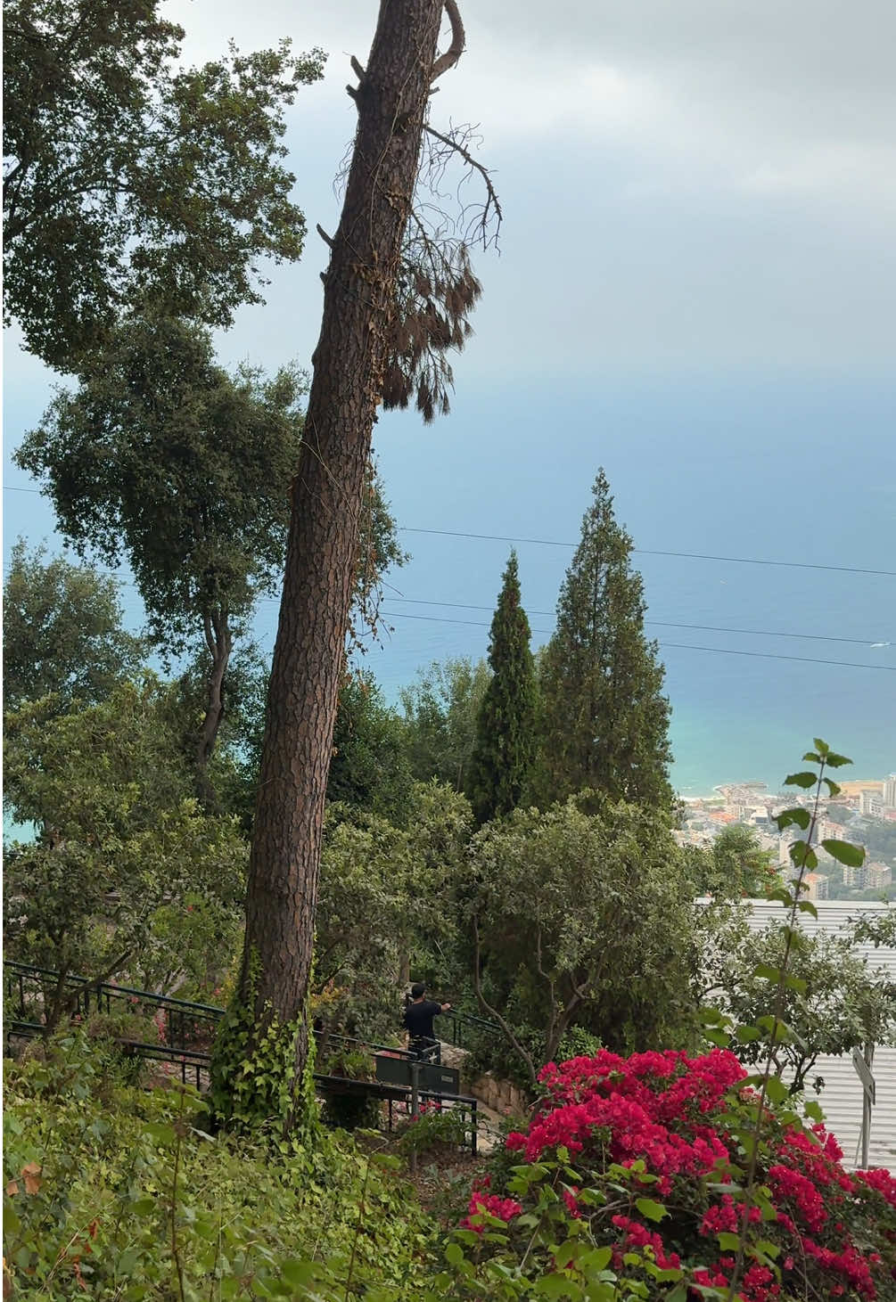 ماشاءالله🥹 #lebanon #لبنان #طبيعة #viral #explore 