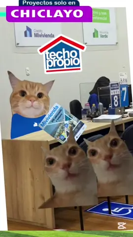 Michis te explica sobre tu primera vivienda con techo propio🏡😁 . #michis #preventa #departamento #casasenventa #fyppppppppppppppppppppppp 