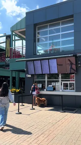Yooyee…..Favorite place to get boba tea in Chinatown#yooyee #chinatownchicago #bobatea 