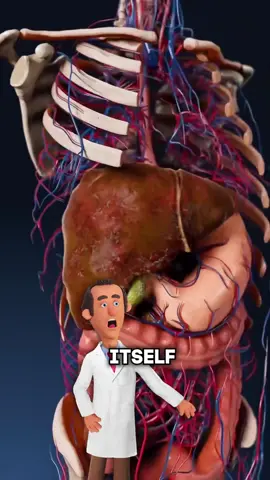 Quit Booze for 14 Days – Your Body Goes Wild! 🍺 #health #alcohol 