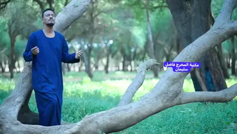 #ليلة المولد_يا سر الليالي #مشاهير_تك_توك_المخرج_الفاضل سليمان 