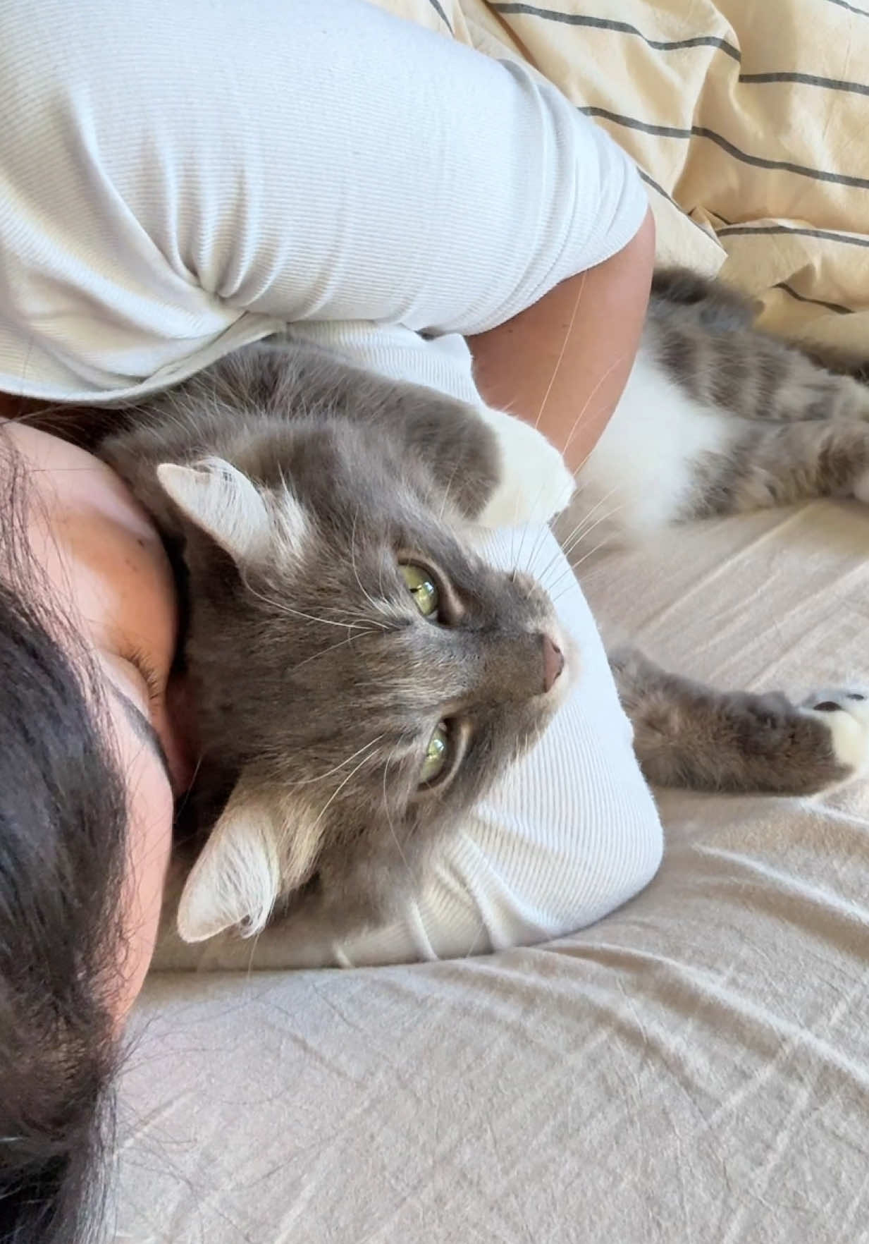 He scolded me and immediately  forgave me 🥹