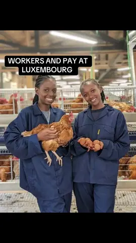 #travelandworking #fypage #traveling #workabroad✈️ #fyp 