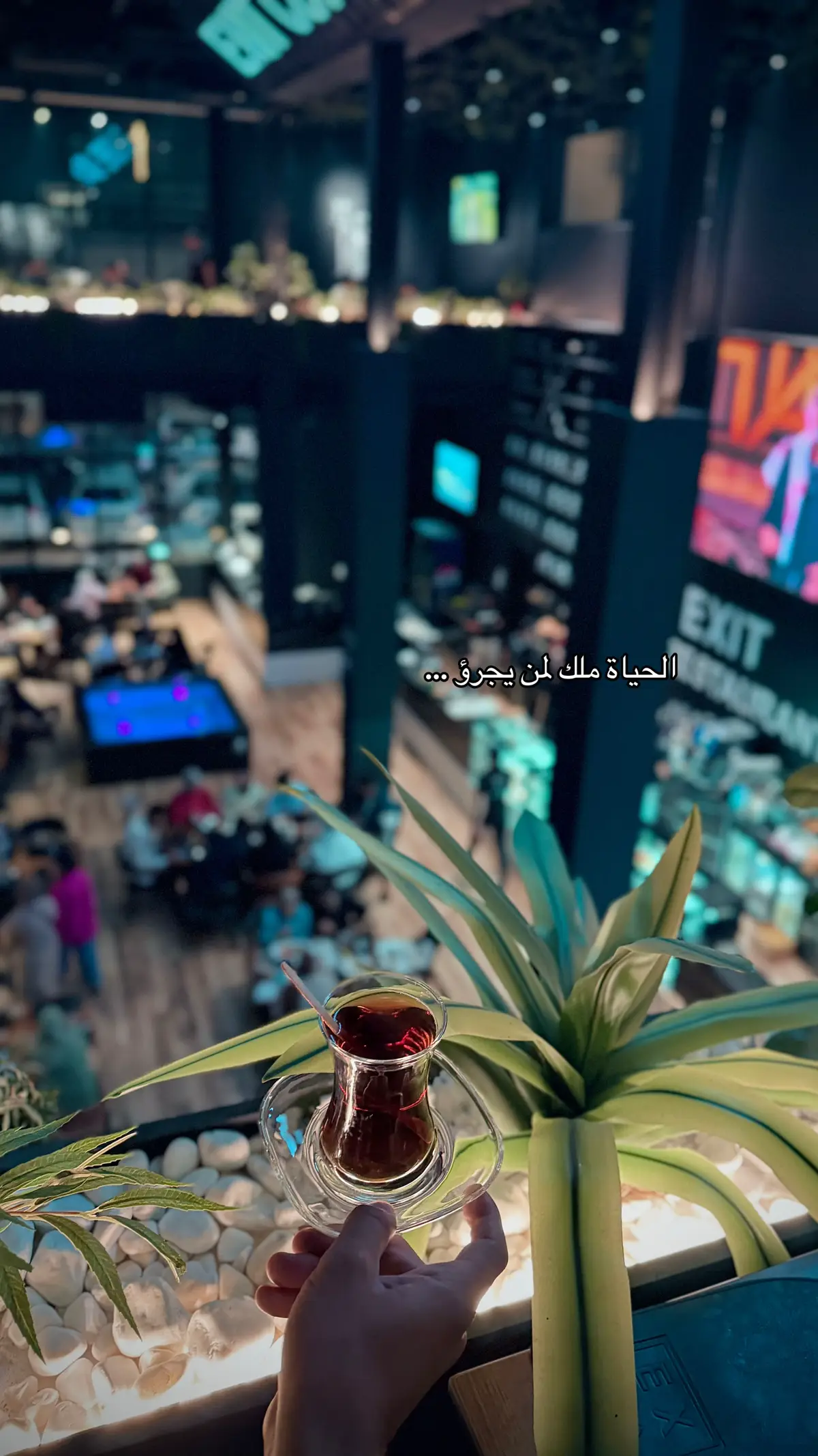 الحياة ملك لمن يجرؤ