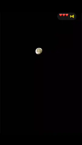 „ حَبيبيي „ M🫂💫