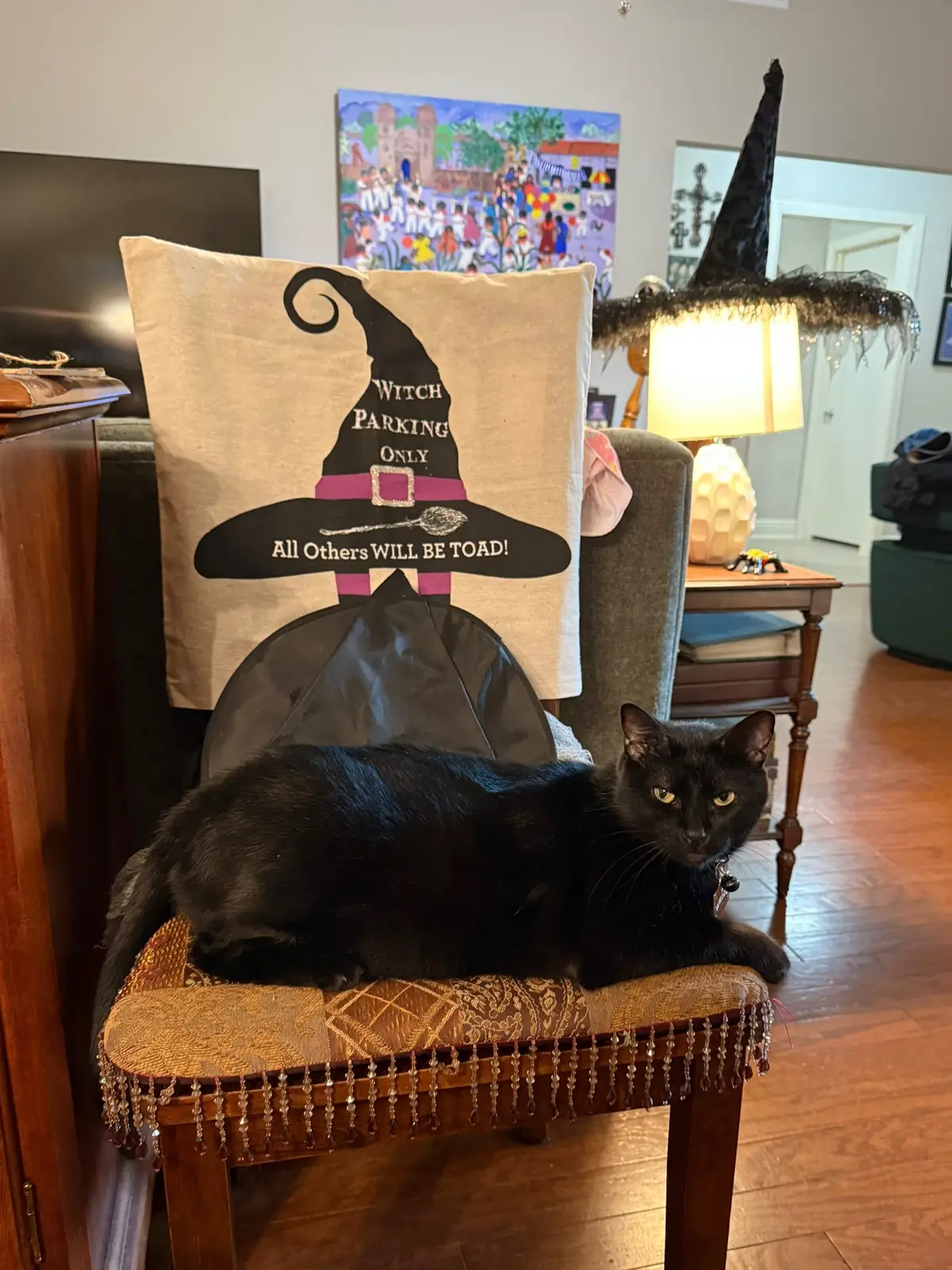 #halloween #fyp #blackcatsoftiktok #blackcat