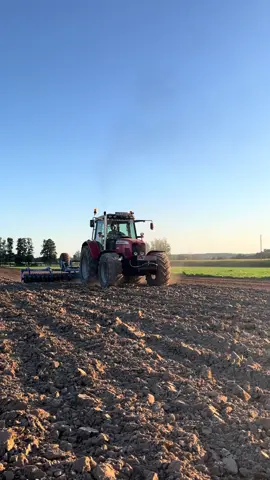 Wałowanie mefejkim na przelocie 😏🥵#oporowocałodobowo #przelot #johndeere #żniwa2025🌾🤩🇵🇱 #masseyferguson #2025 @Maciek @agro_Filip6255 @Honda 250 @Bartuss.agriculture @Kuba @Adamek @Piotr.andrzejczak @Mrt_by_grzelak @g_lesniewski🤠 @_wdziamara🌞 @Kuba Binder @🎀 @GR GraczyQQ🚜🔥 @mati.gas @777 🎀 @Jarek @bartuś rolnik🌽 