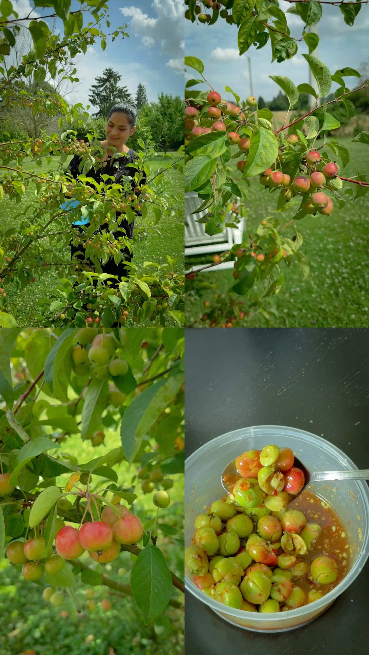 ក្តឹបប៉មព្រៃទឹកត្រីស្ករត្នេាតឈ្ងុយឆ្ងាញ់ ឆ្ងាញ់ជាងម្តេញទៀត😁🍏#reels #shorts #foryou #tik_tok #eat 