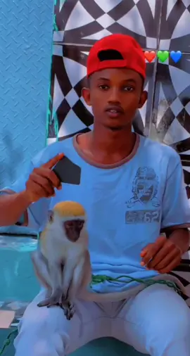 #laacipka7 miyarada so iskugu firiya iga daren kk#somalitiktok #fb #mogdisho_city🇸🇴 