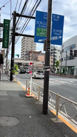 I really should#japan #fyp #travel #日本 #tokyo 