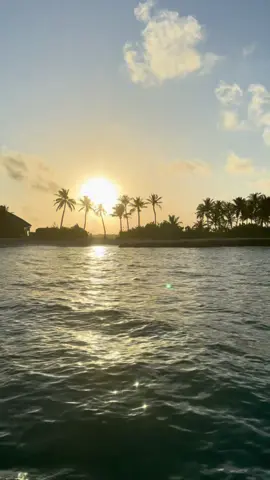 #holidayloading #oblulobigili #urlaub #malediven #fyp 🌍🐳🦑🤩🪼🦞🐚🌊🐠🇲🇻Paradies 🏝️nofilter