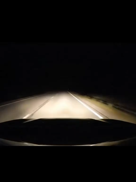 #Viral✨🚗 Cuando tu ángel de la guarda se disfraza de paloma 🕊️  Un conductor se salva de caer al vacío gracias a un ave blanca que apareció justo a tiempo. 🕊️😱 ¿Milagro, señal divina o simple coincidencia? Internet no deja de debatirlo. 👀 https://canal13mexico.com/programacion-c13/virales-de-la-red/cuando-tu-angel-de-la-guarda-se-disfraza-de-paloma-conductor-se-salva-de-caer-al-vacio-gracias-a-un-ave-blanca/  Las viralidades de la red, solo con Stephanie Valerio en #Noti13