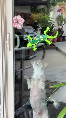 Coolest christmas gift for kids #christmasgiftideas #kids #toys #kidgifts #tiktokshop 