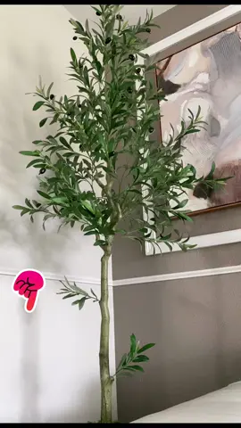 Árbol de olivo sinónimo de paz , longevidad,renovación sabiduría .Enamorada de mi arbol de olivo.#Olivetree #homedecor#artificialolivetree#tiktokshop 
