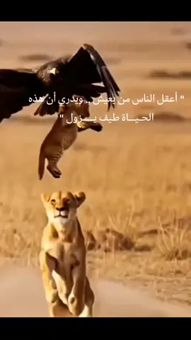 #الدهر #رعدالناصري #explor 