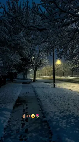 #FatimaH🌸🔥💐 #😭❤️💗💘💘♾️✨️🕊👸🏻 #CapCut #💘🥹👸🏽 #💕 