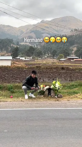 #viraltiktok  #sicuani  #hermanos 