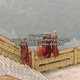 let’s go play air ball! #rareaesthetic #nostalgia #avatarthelastairbender #airnomads #fyp 
