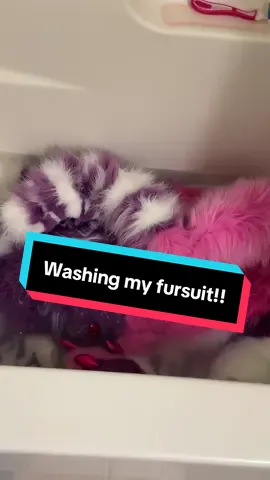 The timer cut off so ima just explain it here: I rinsed after the fullsuit soaks in the soap bath for 30 minutes(and go over the head and feetpaws again with the Bissell but with water), put them all in front of the fan and brush every 30 minutes till dry  #furry#furryfandom#fursona#furrycommunity#fursuit 