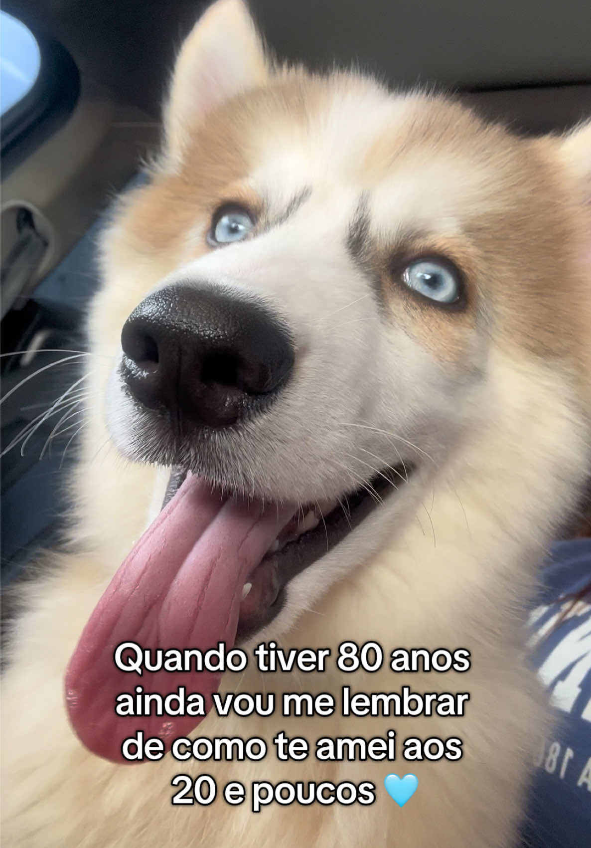 My baby boy 🐶🩵✨ #dogtrend #dog #mybabyboy #stitch #fyppppppppppppppppppppppp 