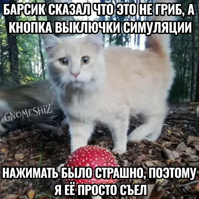 #психоз #mushrooms #foryou #fyp #rec 