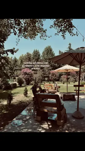 para entendidas, jester >>> knight #goldenbrown #medievalfantasy #princess #princessxjester #knight 