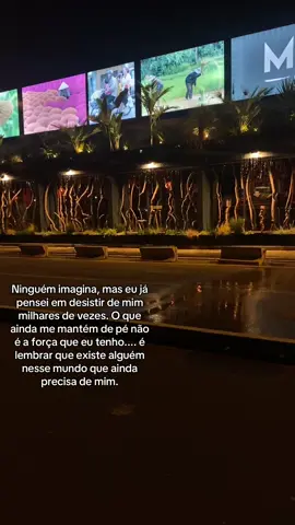 Nunca desistas por alguém #portugal🇵🇹 #viral_video #fybシ #fyp #desistir 