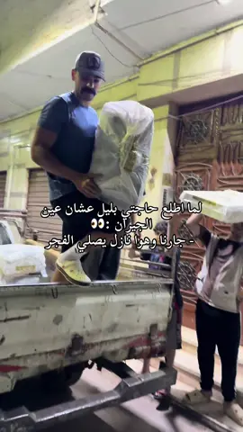 اقل عين 👀ف منطقتنا و انتا بتطلع العزال 😂😂😂😂😂😂#الشعب_الصيني_ماله_حل😂😂 #fyp #viral 