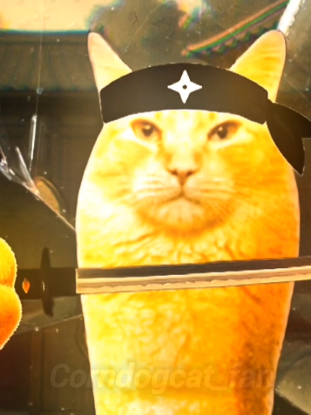 Corndogcat always better—Corndogcat edit #edit #meowl #corndogcat #meme #fyp  Meme owner C:->originalcorncat First Music:I am new soul Second Music:Montagem Supersonic