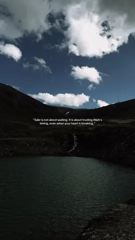 🦢  #foryou #fyp #fypage #تيك_توك_ #muslimtiktok 