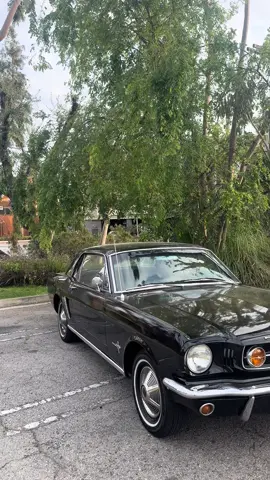 🖤 #classicmustang #65mustang 