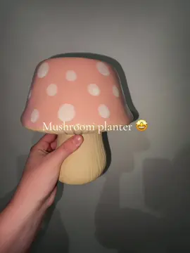 #mushroom #mushroomplanter #plantsoftiktok #hippiedecor #decor 