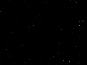 قلبي عايزك جمبي😍🫶🏻💞💞🫵🏻#تصميم_فيديوهات🎶🎤🎬 #اغاني_مسرعه💥 #حالات #فيديوهات #مصمم_فيديوهات🎬🎵 