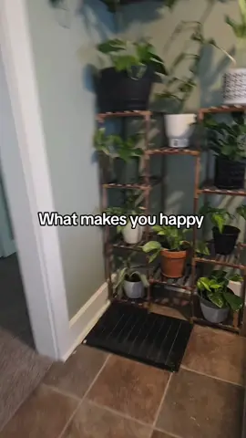 Plant vibes only. #fyp #plantmom #plants 