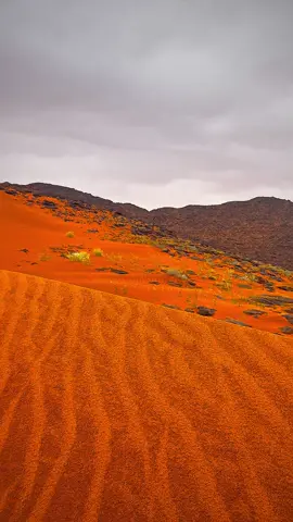 #الطويل🐪_ابراهيم_الحنيفات😻🤎 #ابراهيم_الحنيفات😻🏕️⛈️ #لايك_متابعه_اكسبلور 