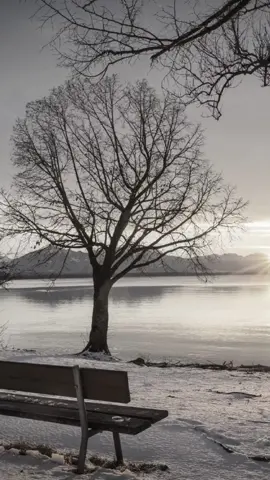 #سمير_صبيح  #شعراء_وذواقين_الشعر_الشعبي_العراقي#شعروقصايد_خواطر_غزل_عتاب #شعر#fyp  