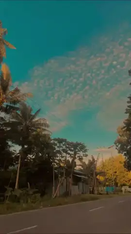 kecil su skolah #berandatiktok  #fypシ゚viral  #hitsjayapura 