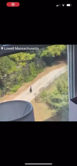 #breakingnews #university #UMASS #shooter AN ASIAN MALE SPOTTED ON CAMPUS.