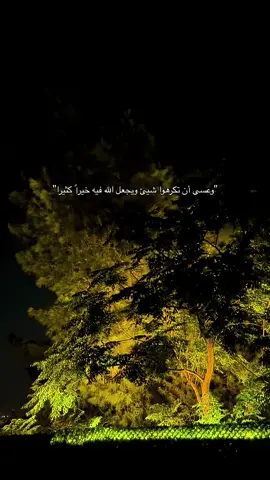 فصبرٌ جميل واللهُ المستعان . #فوريو_ديني #ادعية_الوتر #withoutmusic #فيصل_الهاجري  