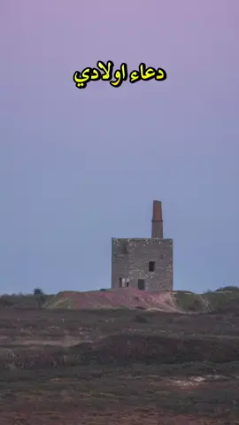 دعاء اولادي  اللهم احفظ اولادي#اللهم_آمين_يارب_العالمين 🤲#vairal_video_tiktok #foryourpage #trend #pyfツviral_❤ 