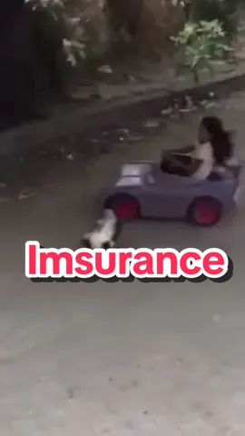 #girl #cat #driving #toycar #girl  