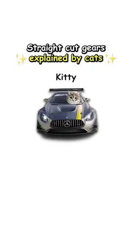 Straight cut gears explained by cats #mechanic #cats #cars #carguys 