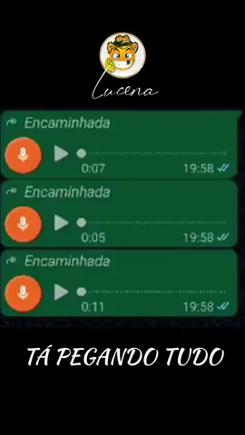 Estão pegando tudo... #audiosengraçados #humor #viralmeme 