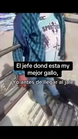 #fy 