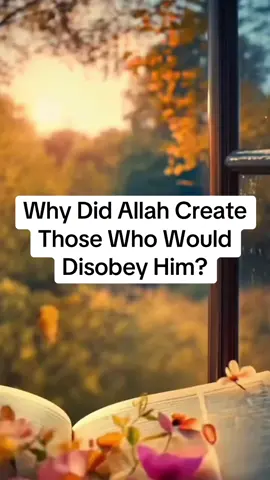 Why Did Allah Create Those Who Would Disobey Him?#Islamic reminder#muftimenk #reminder  #viralvideo #trending #viraalthink##GratitudeAlways #IslamicWisdom #IslamicMotivation #StayPositive #LiveWithPurpose #DuaChangesDestiny #StayPositiveWithFaith #KeepGoing #reminderislamic #TrustInAllah #inspiration #FaithOverFear #reminderislamic  #IslamicWisdom #DailyReminder #UpliftYourSoul