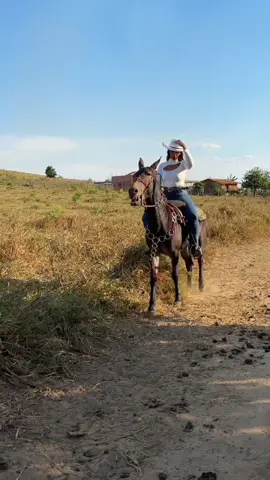 Venha você também fazer parte dessa grande cavalgada#registrodevida 