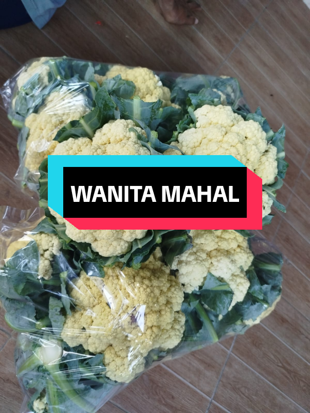 Yang jelas wanita mahal itu dia tau diri..tidak pernah merebut milik orang lain#fyp 