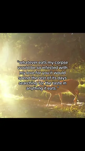 #Love #hope #bugs #yearning 